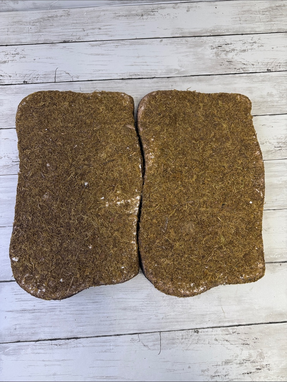 Lemax Display mossy platforms lot of 2 Read details